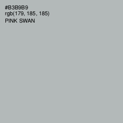 #B3B9B9 - Pink Swan Color Image